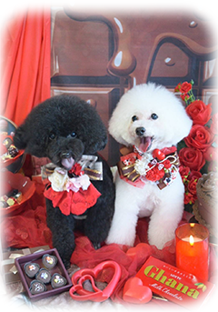 �v���t�B�[���ڍ�