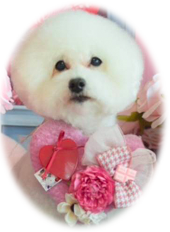 �~���q���C���X�g